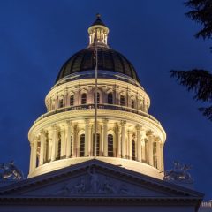 Headshot of State Integrity Investigation