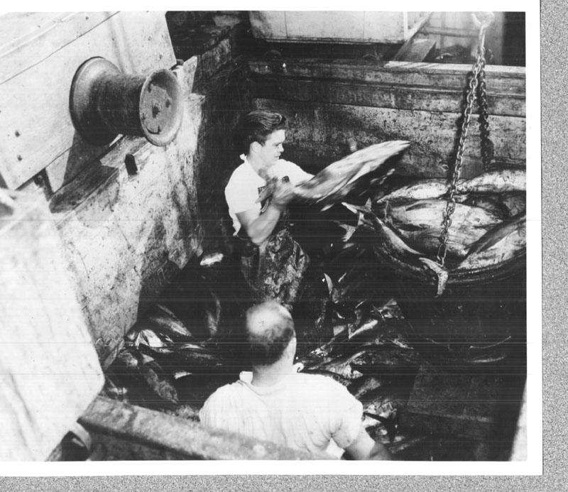 Port of San Diego commercial fishing history