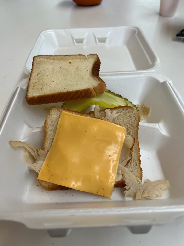 A sandwich with a piece of cheese over some meat is in a takeout container.